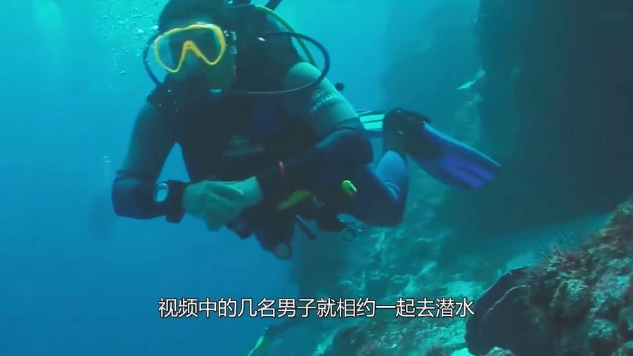 脑洞小老弟无实名认证